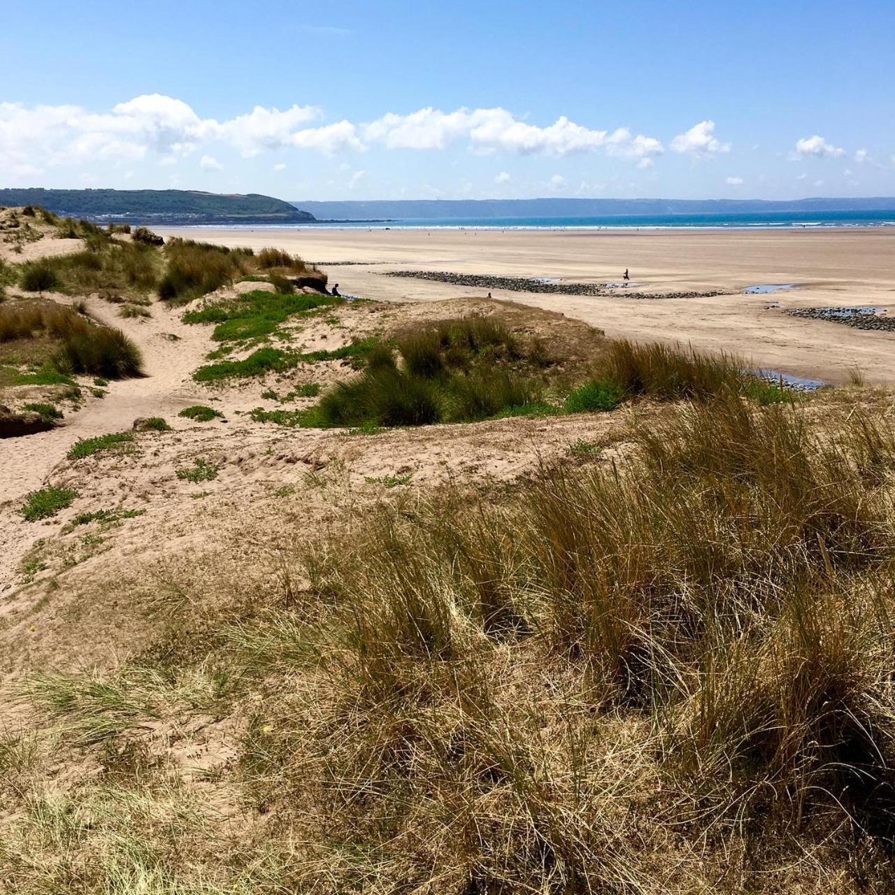Petrock Holiday Cottages Newton Saint Petrock Bagian luar foto