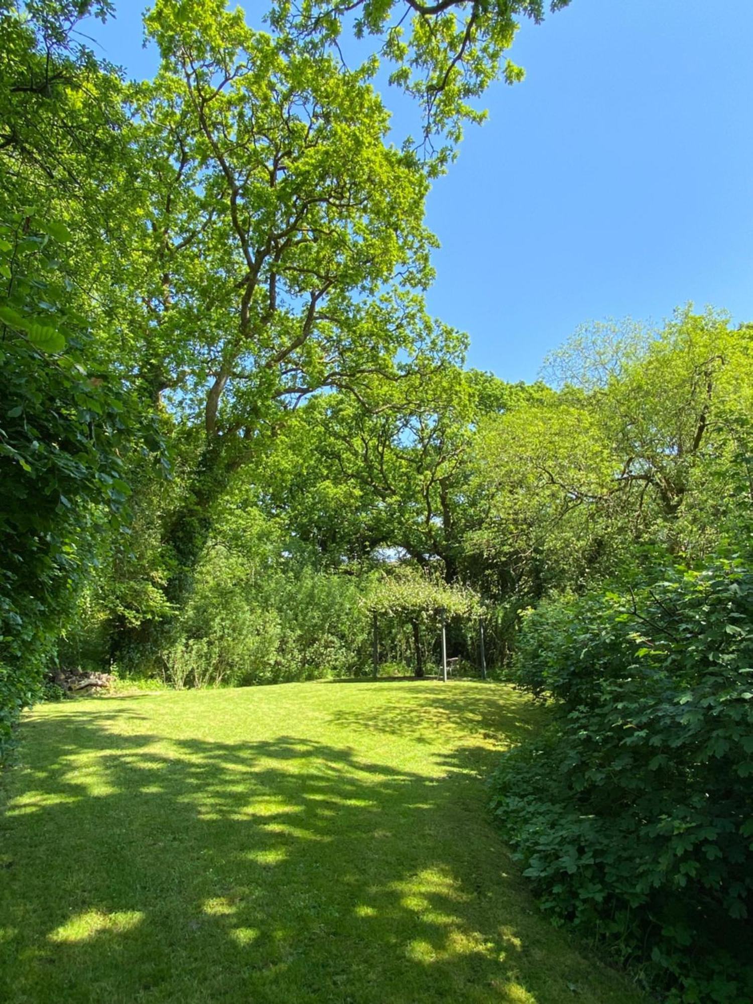 Petrock Holiday Cottages Newton Saint Petrock Ruang foto