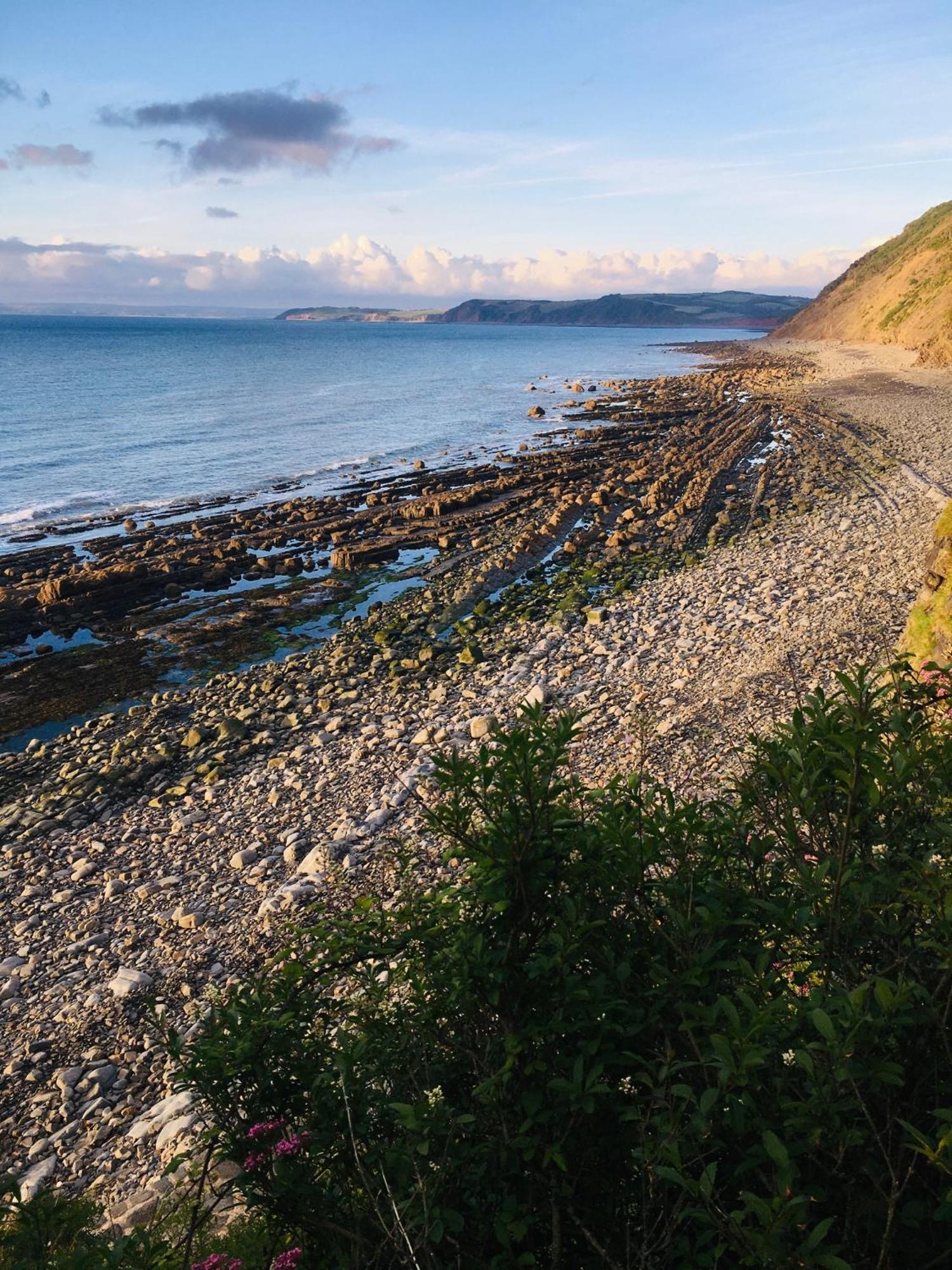 Petrock Holiday Cottages Newton Saint Petrock Bagian luar foto