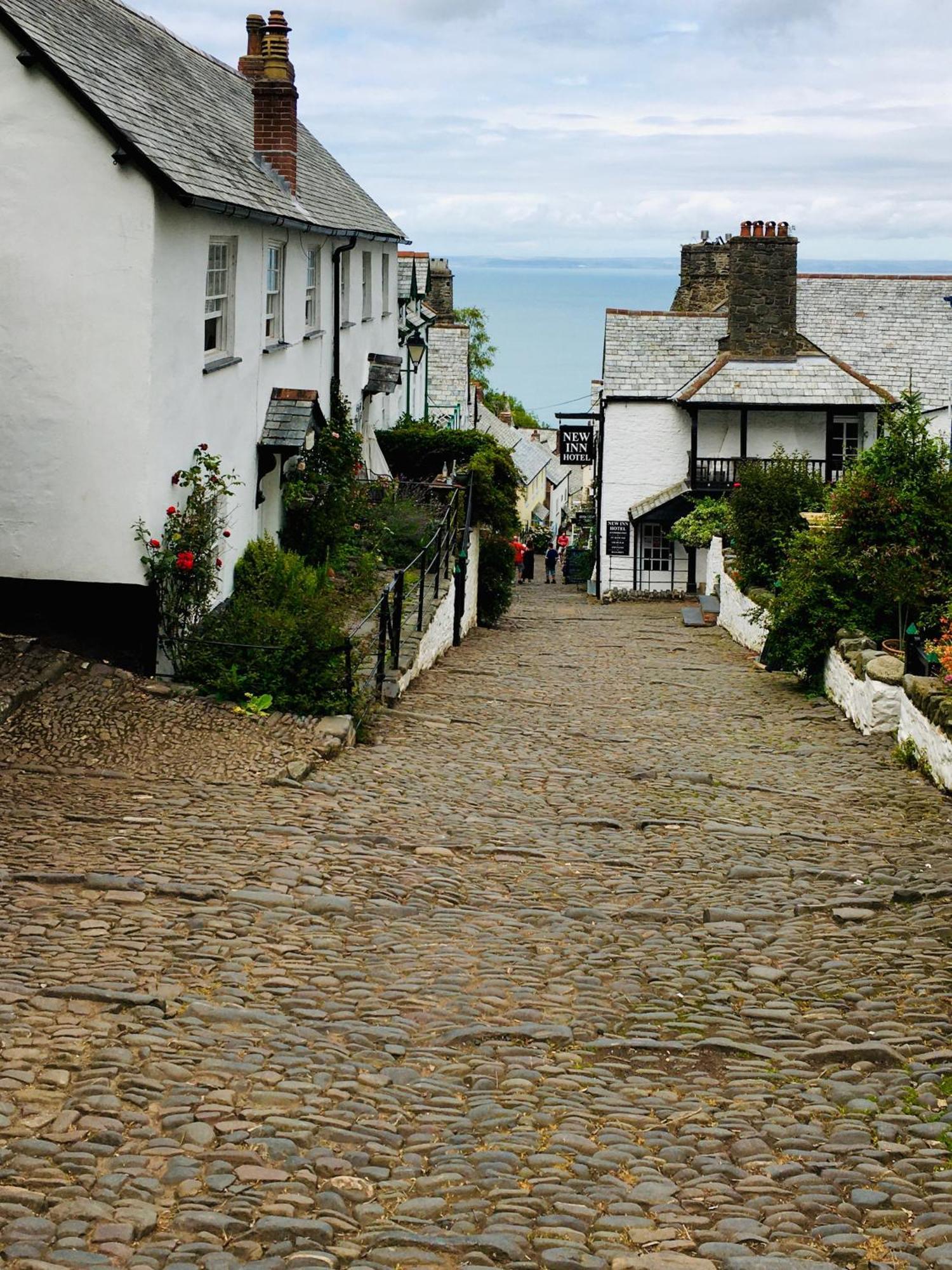 Petrock Holiday Cottages Newton Saint Petrock Bagian luar foto